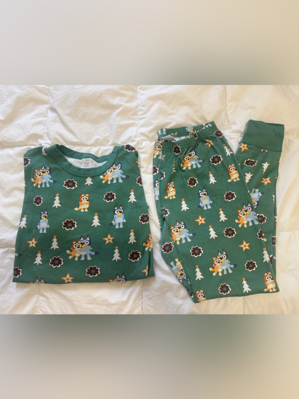 Hanna Andersson Bluey Organic Cotton Long Sleeve 2pc Pajama Set adult L Xmas